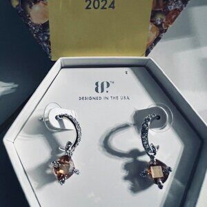 NOVEMBER 2024 TOPAZ EARRINGS "SAY IT WITH PURPOSE"